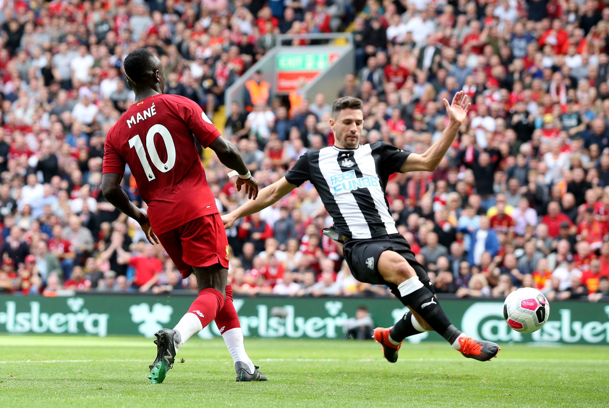 将是他们在 将是他们在